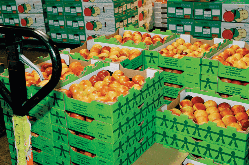 images/1698220634603fruit export.png